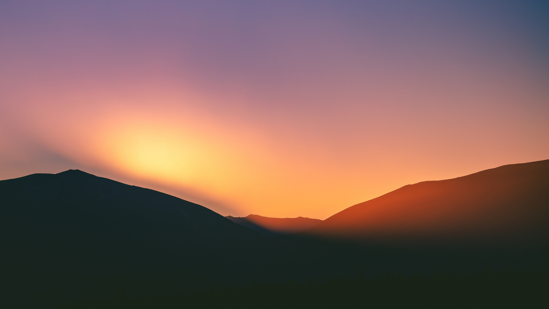 New Zealand Cleaning Cooperative